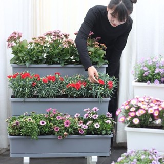 免運#【多層種菜盆】陽臺種菜專用箱花箱長方形多層種菜架家用塑料盆 SJVH
