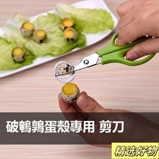 不鏽鋼鳥蛋剪刀破殼專用剪刀廚房用品烤鳥蛋小鳥蛋鵪鶉蛋鳥蛋剪蛋鳥專用剪刀不鏽鋼ABS4.29