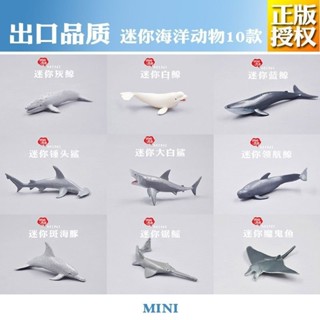 出口品質迷你海洋動物模型模擬動物模型玩具鯊魚鯨魚禮物套裝
