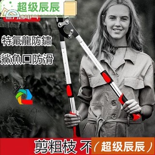 超級辰妹推薦德力西電氣 剪刀 修枝剪 省力剪 樹枝專用 粗枝剪 修樹枝 強力修剪 樹枝剪 樹枝伸縮高枝剪 伸縮剪枝剪刀
