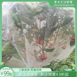 臺灣出貨🌲防蟲網罩果樹防蟲放白粉蝨防鳥防曬網套蔬菜防果蠅套袋網紗網 植物防蟲網罩 果樹防蟲 果園養殖網