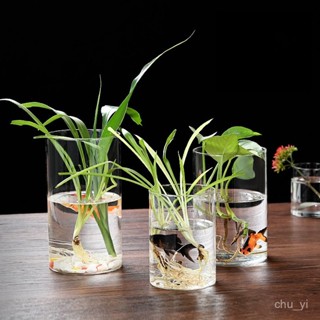 【臺灣出貨】8cm-30cm玻璃花瓶 透明花瓶 插花瓶 落地花瓶 水培花瓶 直筒透明花瓶 魚缸 圓缸 加厚 大小號