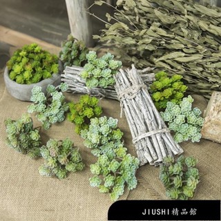 【精品館】迷你多肉植物模擬盆栽仿生植物人造植物景觀家庭辦公室酒店裝飾假植物園林植物展示模擬植栽模擬蕨類