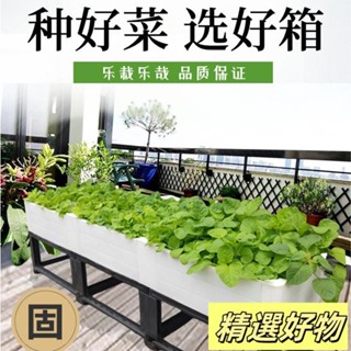 加高樓頂種菜專用箱 陽臺種菜盆蔬菜種植箱屋頂菜園種菜神器家庭5.12