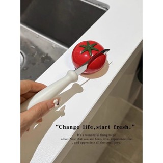磨刀石 小型 磨刀神器番茄磨刀石家用快速磨刀器全自型動吸盤廚房菜刀剪刀 富遠精品1