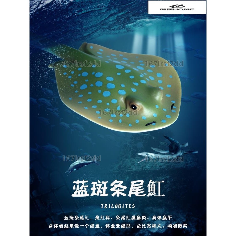 海洋生物藍斑條尾魟模型藍點珍珠魟仿真魟魚動物 特惠