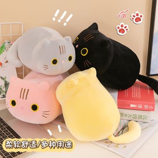 🌸臺灣出貨🌸造型抱枕 貓咪抱枕 兒童節禮物 貓咪睡覺枕頭 娃娃毛絨玩具 公仔玩偶 生日禮物 送女生抱枕 坐墊 靠枕