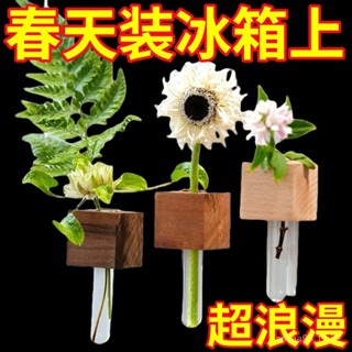 💥桃園倉庫出貨💥 實木插花器磁吸冰箱貼DIY氛圍創意裝飾磁貼試管zakka花瓶高階感