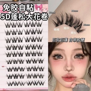 【臺灣48H】懶人濃密大花捲新手媽生自然小花捲單簇嫁接新手分段清潔劑套裝