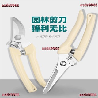 公司貨 不銹鋼花枝剪樹枝剪修枝剪刀園藝剪刀粗枝剪園林剪果樹剪五金工具