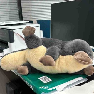 鴨嘴獸正版公仔毛絨模擬安撫毛絨玩具玩偶可愛兒童生日禮物娃娃 床上抱枕 絨毛玩偶 陪睡玩偶 親膚舒適