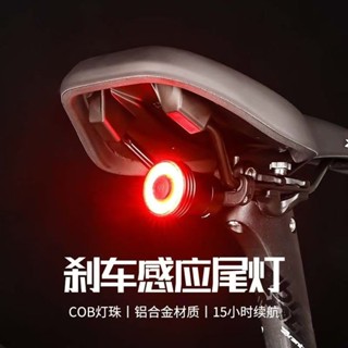 自行車配件 自行車 自行車尾燈 尾燈 腳踏車尾燈 煞車燈 智慧煞車燈 感應燈 警示燈 自行車後燈 單車尾燈 方嚮燈 轉嚮