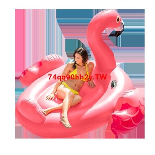 #特惠#INTEX成人水上坐騎火烈鳥游泳圈玩具兒童獨角獸浮排泳池充氣浮床
