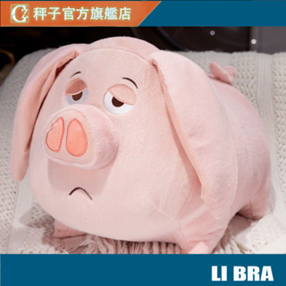🚚桃園出貨🚚可愛創意飛天豬玩偶毛絨 公仔玩具 兒童抱睡抱枕 布娃娃 男女生日禮物