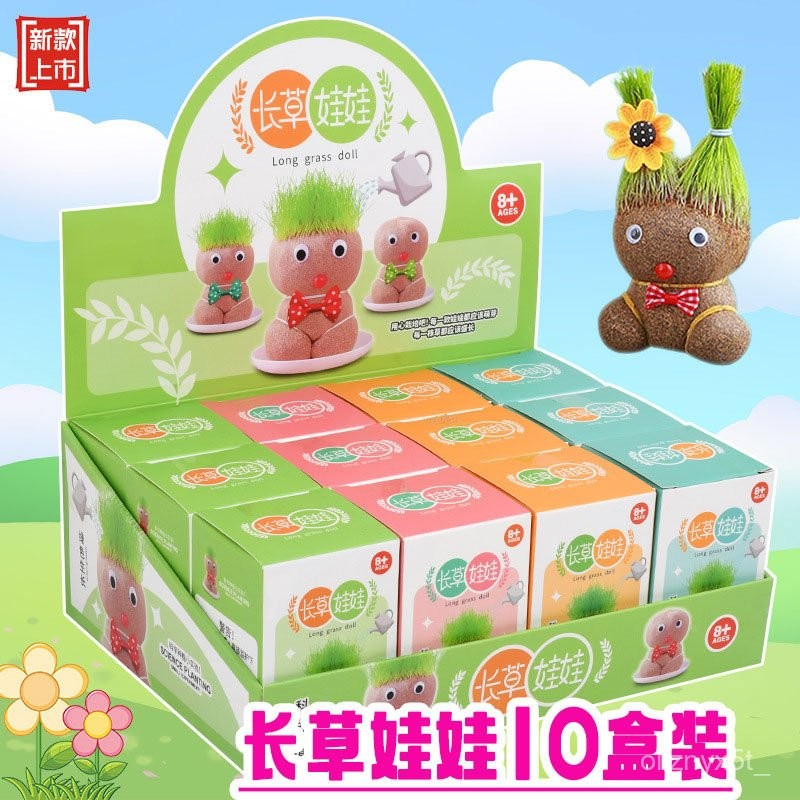 🎉米寶倉🎉 幼兒園兒童分享課堂奬勵趣味盆栽小朋友DIY培養專註力創意小禮品桌麵擺件趣味盆栽草頭娃娃
