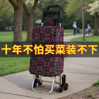 可伸縮拉桿包 便攜推車 買菜小拉車 買菜車 折疊手推車 購物袋 露營拉車 摺疊 小推車 旅行包 託運袋