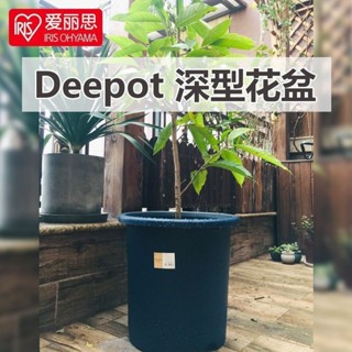 ⚡限時特惠⚡ 塑膠花盆 加厚大號加侖盆 12號盆家用仿陶花盆大全 熱賣