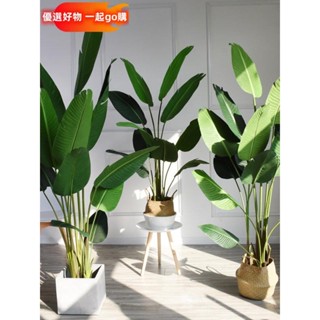 開發票 模擬樹 庭院造景 客廳裝飾 假樹 仿真植物 人造樹 模擬盆栽家居模擬旅人蕉裝飾植物天堂鳥落地花卉景觀綠植盆栽擺件