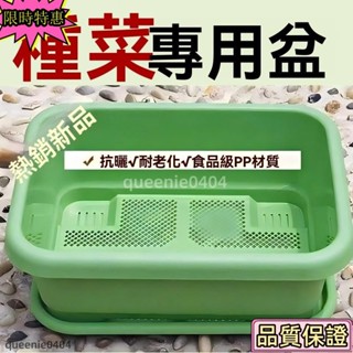 🌟滿109元出貨🌟花盆 花箱 花槽 新款特大陽臺種菜盆自吸水家用種菜專用盆長方形塑膠蔬菜種植花盆