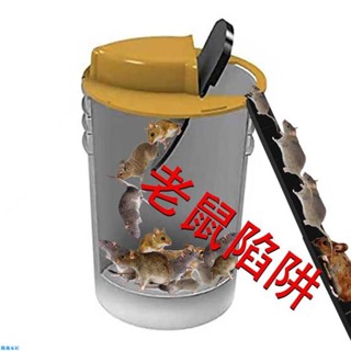 🚀臺灣出貨🚀年最新款老鼠陷阱 自動復位捕鼠蹺蹺板 捕鼠器 捕鼠神器 室內捕鼠神器 室外捕鼠神器 抓老鼠神器連續捕鼠