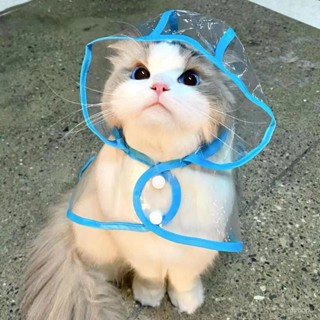 【臺灣熱賣】狗狗雨衣 貓咪雨衣 寵物雨衣 防水雨披小型犬 夏季狗雨衣 狗狗衣服 風衣 外出雨衣 連帽雨衣