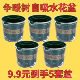 🔥桃園快速🔥 綠蘿花盆懶人自動吸水雙層塑膠盆栽室內陽臺免澆水透明儲水加侖盆