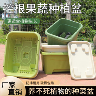 特大號控根長方形種菜盆室內陽臺加厚種植箱蔬菜綠植多肉種菜神器