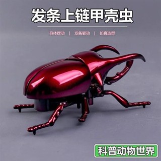 💖限時優惠💖 免運 獨角仙創意整蠱道具會動的昆蟲模型兒童上鏈格鬥甲蟲發條動物玩具