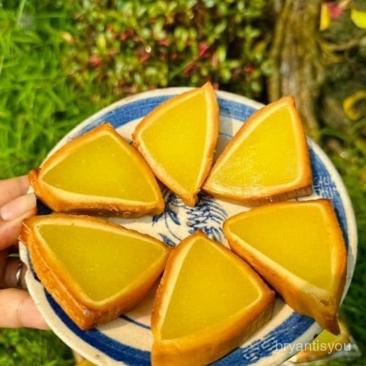 🔥千味千尋✨ 越南风味椰子饼banh dua nuong (nhan dau xanh 一包6个