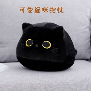 【桃園出貨】🐾 【可愛貓咪抱枕】可可愛愛貓貓抱枕🐱柔軟毛絨玩具｜沙發枕/趴睡抱枕🎀