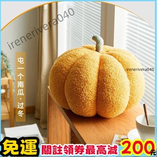 臺出✅母親節禮物 北歐沙發靠墊 南瓜超柔絨毛抱枕 毛絨玩具 網紅創意靠墊 活動裝飾禮品 派對用品🔥限時下殺價