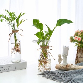 🔥臺灣出貨🔥【新款上市】透明花瓶 花器 風信子裝飾花瓶植物創意水培容器透明玻璃瓶花盆瓶插養花植物器皿