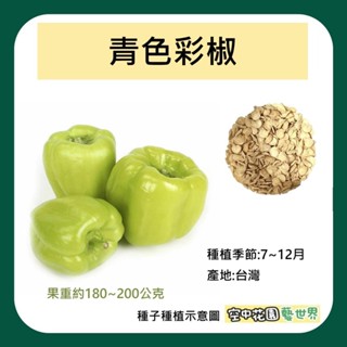 【臺灣出貨 電子發票】大果彩色甜椒 種子 菜籽 甜椒 彩椒 青蘋果綠 空中花園藝世界