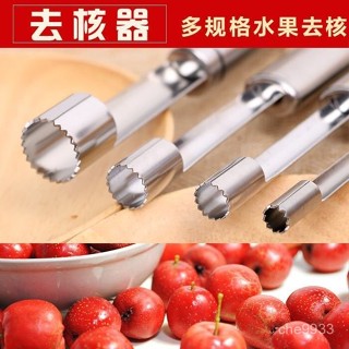 🔥免運🔥去核器神器沙果山楂紅棗去籽器蘋果梨去芯器水果不銹鋼取芯工具