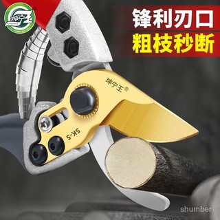 🌸桃園現出🌸修枝剪 鋁閤金園藝剪刀 修枝專用剪刀花藝修花剪刀 秒剪3.5CM粗枝 SK5鋼 防銹鍍鈦工藝 刃口鋒利