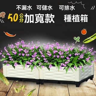 免運 陽臺蔬菜種植箱 庭院種菜神器特大號加厚塑膠長方形種菜盆菜園花盆種植箱 陽臺種菜盆 菜盆 陽臺花盆 養殖箱