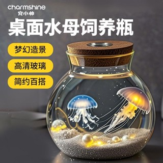 微景觀生態瓶✨成品盆景寵小帥發光生態瓶桌面水母景觀瓶辦公室客廳小型創意觀賞燈玻璃缸 綠植 玻璃缸