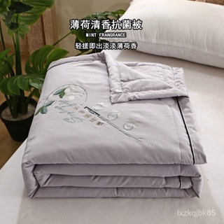 【臺灣熱銷】冰絲薄荷清香被 夏涼被 抗菌被 單人雙人被 夏天薄被子 雙麵被芯 水洗棉被 空調被