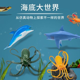 ✨限時特賣✨跨境海洋動物模型玩具 鯊魚螃蟹模擬海底生物擺件兒童地攤小玩具 CK韓物社