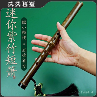🔥臺灣熱賣🔥高檔零基礎入門洞簫便攜紫竹短簫C調D蕭樂器零基礎簡單入門迷你瀟