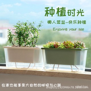 🚀好物力推🚀 種蔥陽臺種菜盆窄小邊縫種植盆家專用箱窗沿懶人自吸水花盆多肉槽