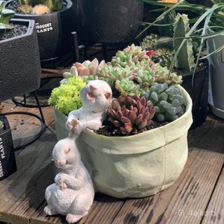 模擬小兔子 庭院花盆 盆栽裝飾 多肉植物 迷你園藝 園藝植作 微景觀配件 園藝工藝品擺件 微景觀 園藝裝飾品 園藝造景