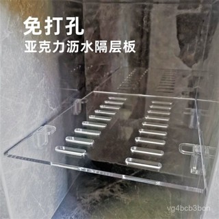 🔥臺灣出貨🔥亞克力免打孔瀝水壁龕隔闆分層收納衛生間浴室置物架隔闆防水層託
