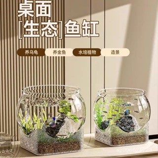 魚缸✨圓形魚缸 桌麵型迷你魚缸 玻璃缸 家用水培植物 迷你魚缸 小魚缸 超透玻璃缸 案頭生態缸