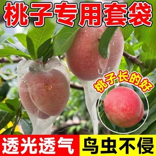 水果專用套袋 桃子套袋專用袋防蟲防鳥果袋水蜜桃黃桃果樹果子套袋神器透氣透光