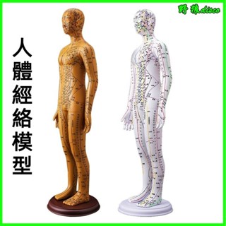 可開發票人體模型 人體針灸模型 針灸穴位人體經絡模型人中醫按摩全身可紮針銅人小皮人絡通圖穴位人體模型 銅人模型 經絡模型