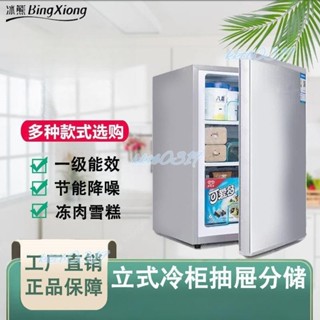 限時下殺~小冰櫃家用抽屜式電冰箱母乳雪糕凍奶立式冰櫃側開門全冷凍小冰箱（詢運費）5.14