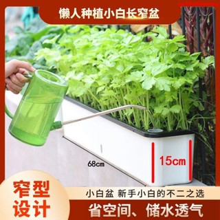 高階花盆 菜盆 霍倫盆 歐林澤陽臺種菜盆長形窄邊蔬菜種植盆防曬花盆陽臺專用加厚種植箱