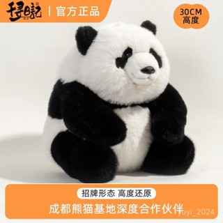 熊貓公仔💥熊貓公仔大號巨大款_新年禮物_可愛福寶模擬熊貓玩偶毛絨兒童玩具熊貓紀念品四川花花萌蘭玩偶模擬大熊貓公仔毛絨玩具