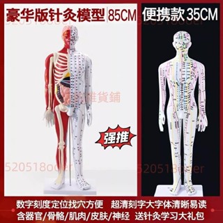 熱賣 政河便攜款針灸穴位人體模型人十二經絡圖小皮人可扎針85cm銅人 人體模型 器官模型 詳細 標註 教學模具5.18